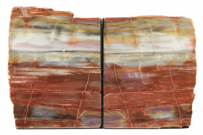 Tall, Arizona Petrified Wood Bookends - Rainbow Colored #240776